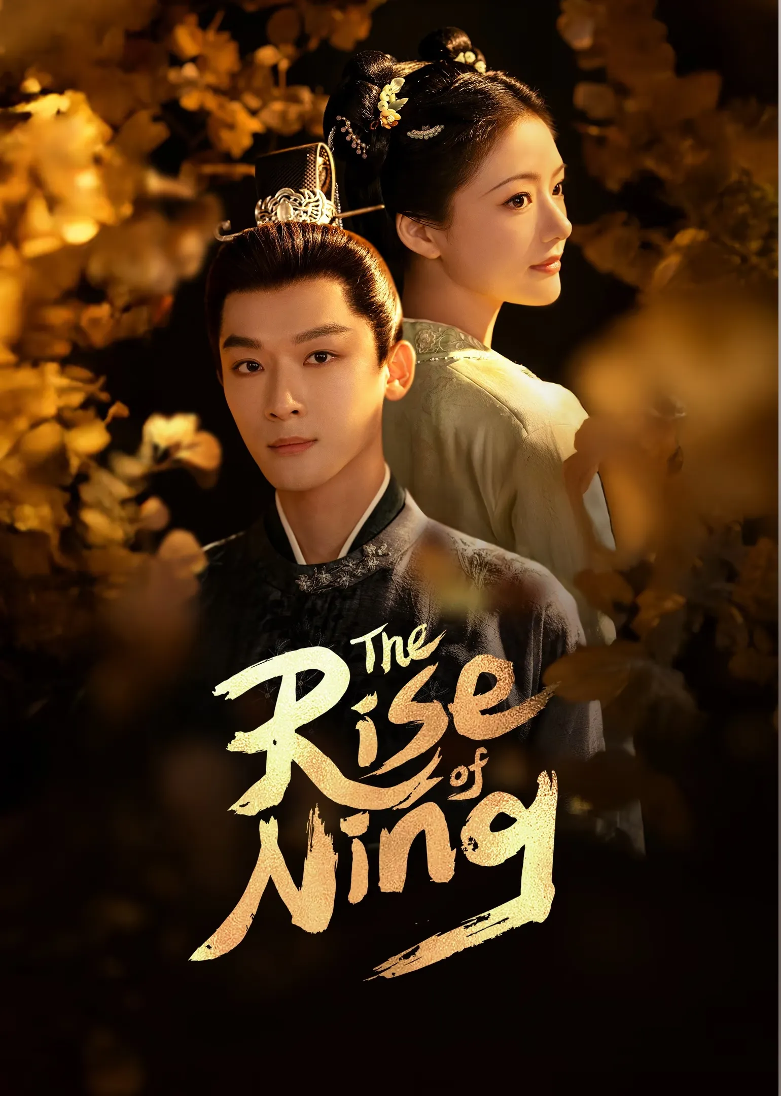 Cẩm Tú An Ninh | The Rise of Ning (2024)