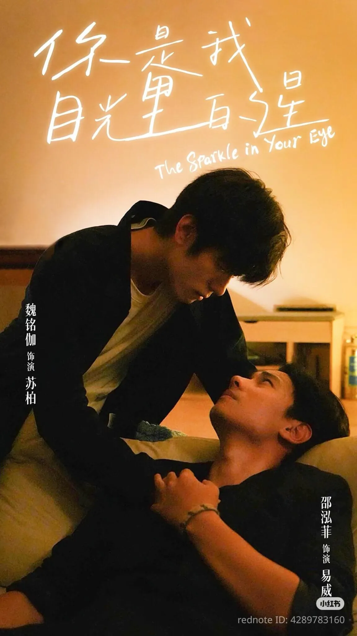 Lấp Lánh Như Ánh Sao Trời | The Sparkle in Your Eye (2025)