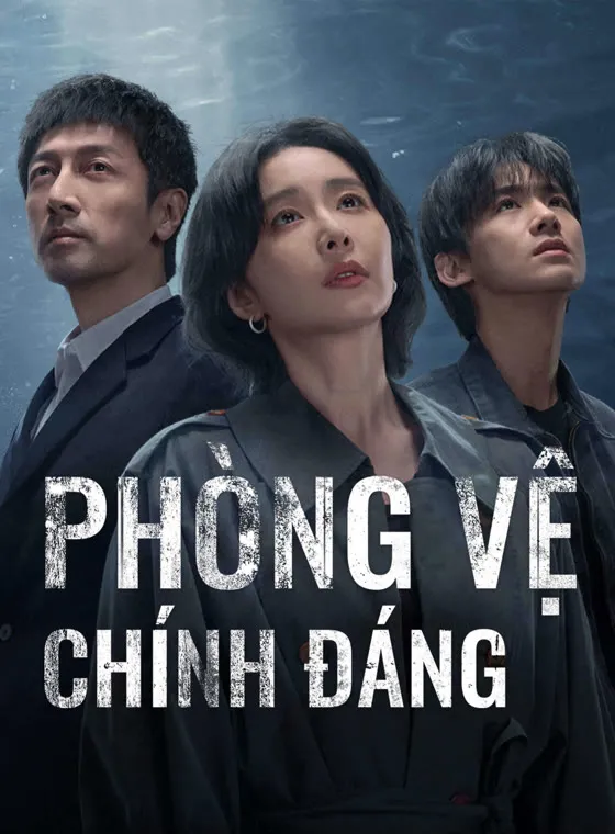 Phòng Vệ Chính Đáng | Justifiable defense (2025)