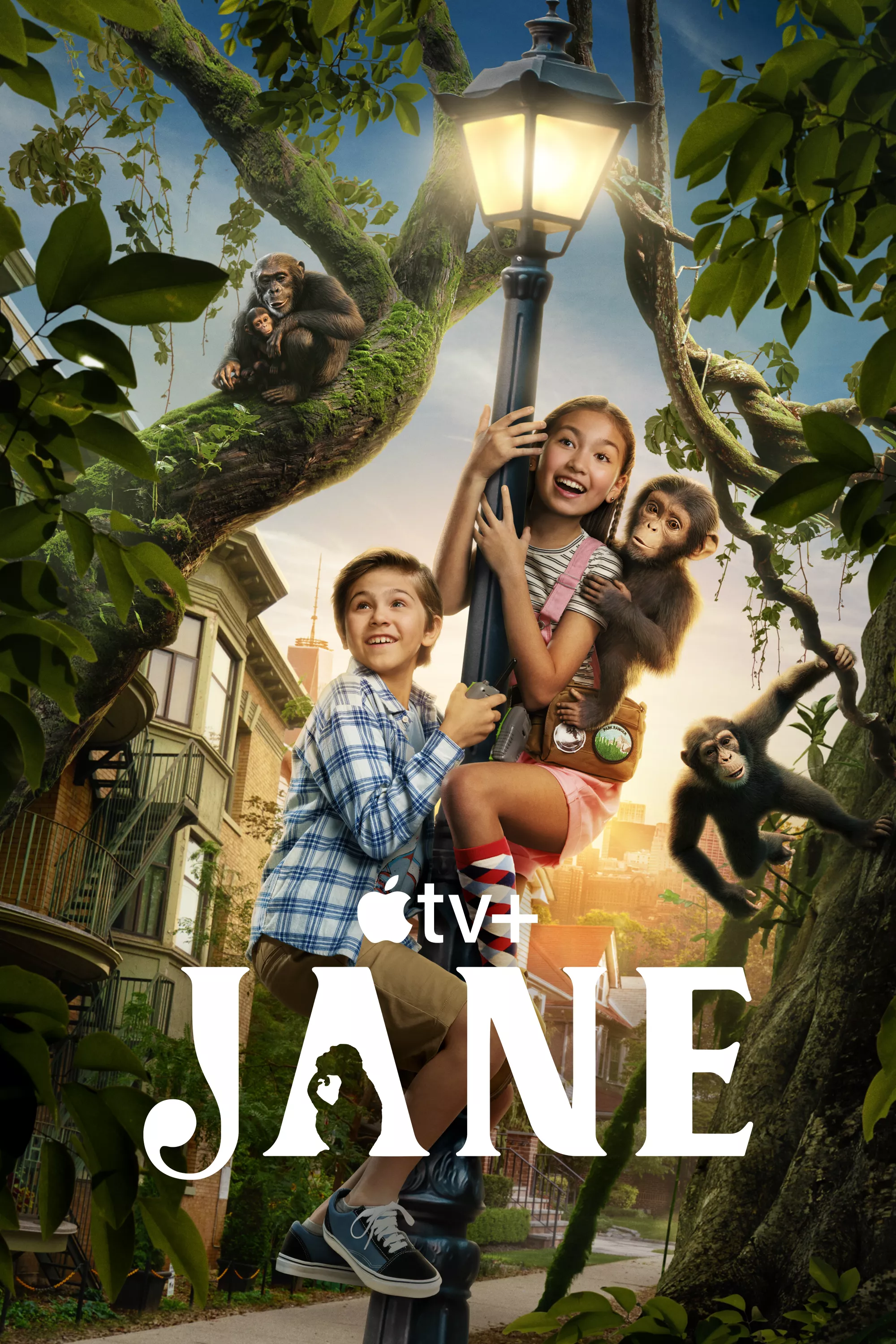 Jane (Phần 3) | Jane (Season 3) (2025)